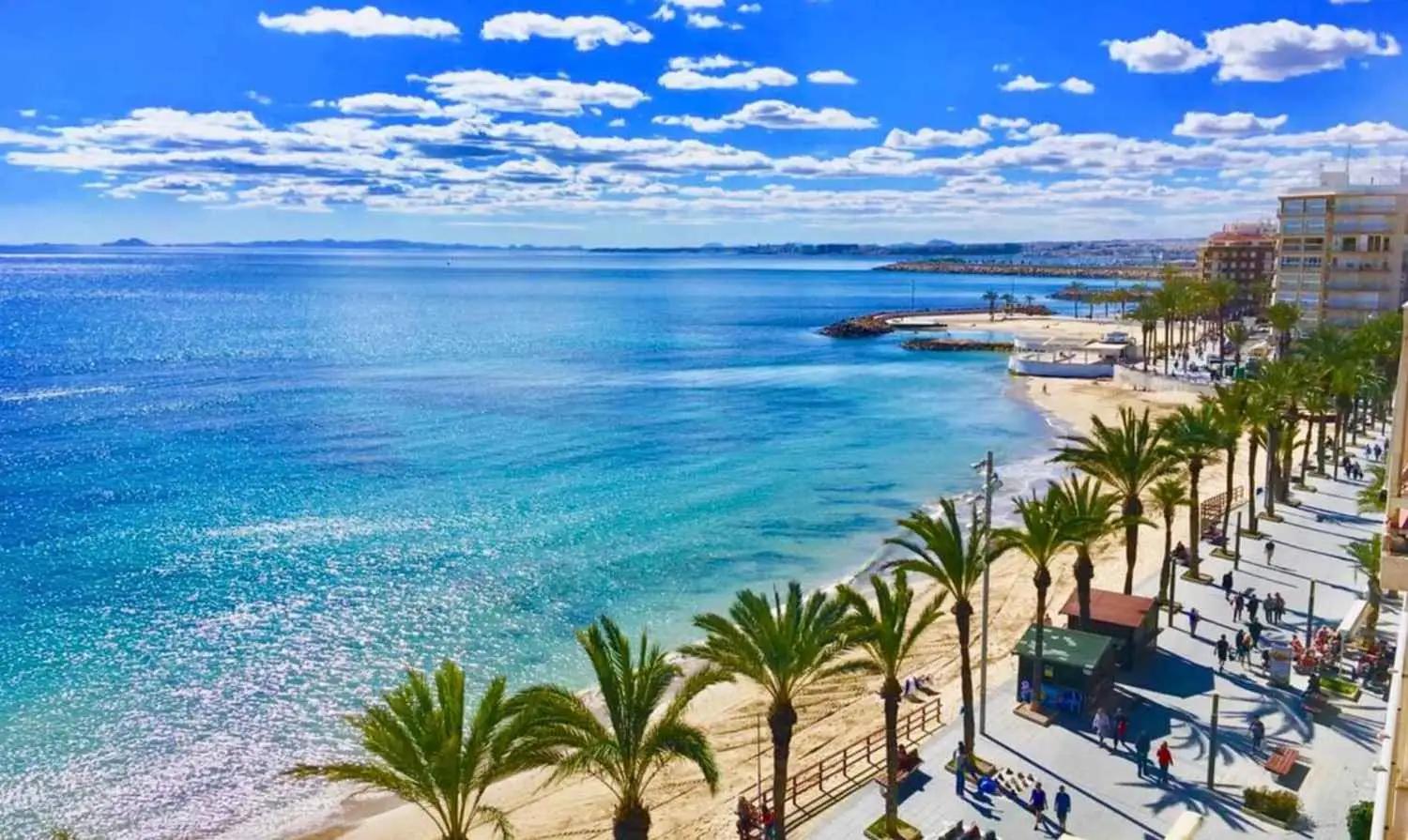 Rantapromenadi palmujen keskellä, merenlahti ja rantaan sijoittuvia rakennuksia